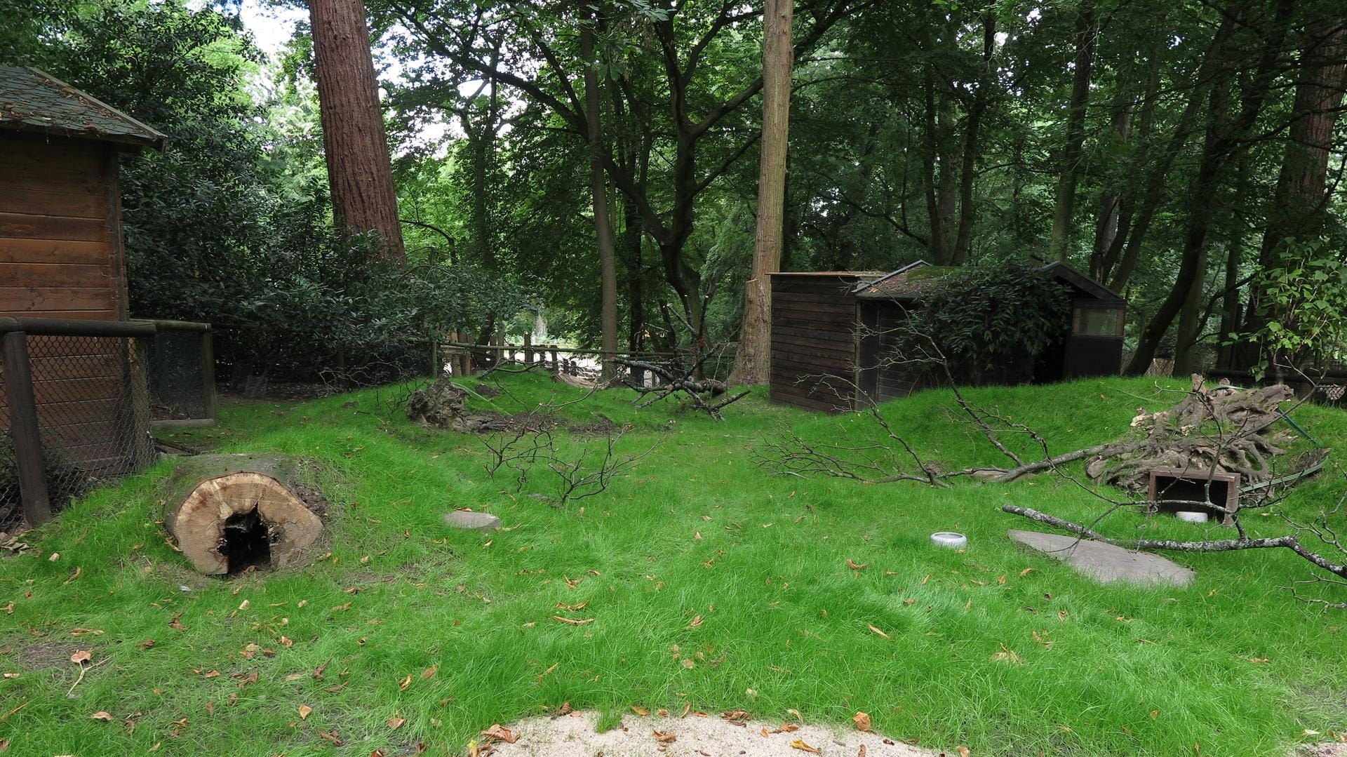 Die umgestaltete Anlage hat neben viel Grün auch Röhren und Tunnel zu bieten, die extra für die Meerschweinchen gestaltet wurden.