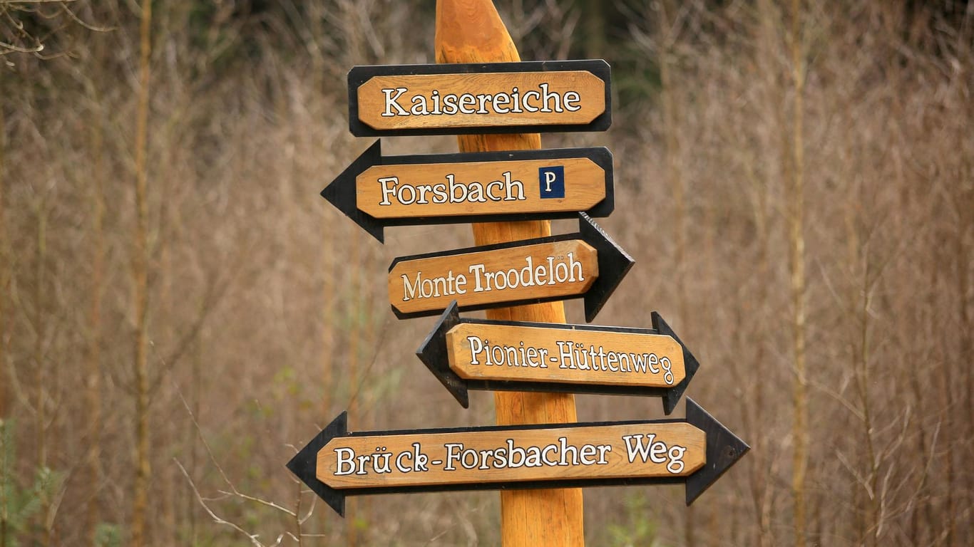 Wegweiser für Wanderer und Radfahrer im Königsforst: Er liegt mit 2519 Hektar östlich von Köln.