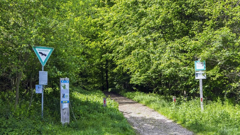 Eingang zu einem Naturschutzgebiet im Königsdorfer Forst: Das Waldgebiet befindet sich in Frechen bei Köln.