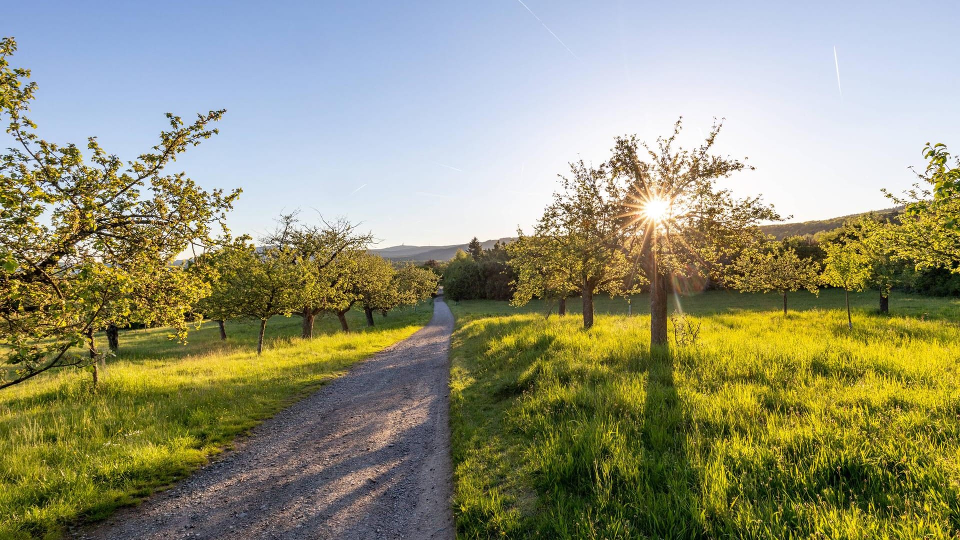 Sonniges Wetter in Bad Homburg: Hier lässt es sich besonders gut radeln.