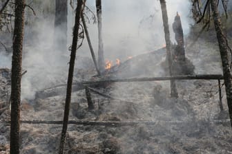 In Sibirien wüten weiter heftige Waldbrände: Die Einsatzkräfte können erste Erfolge vermelden.