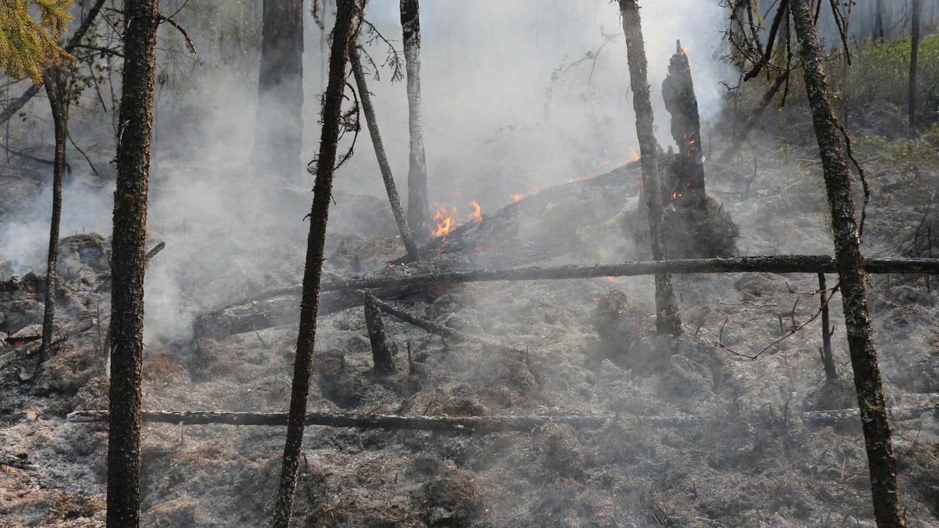 In Sibirien wüten weiter heftige Waldbrände: Die Einsatzkräfte können erste Erfolge vermelden.