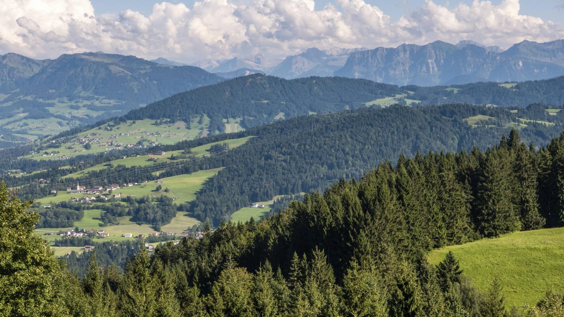 Der Bregenzer Wald in Österreich: Bei einer Wanderung in Österreich ist eine deutsche Urlauberin abgestürzt und gestorben (Archivfoto).