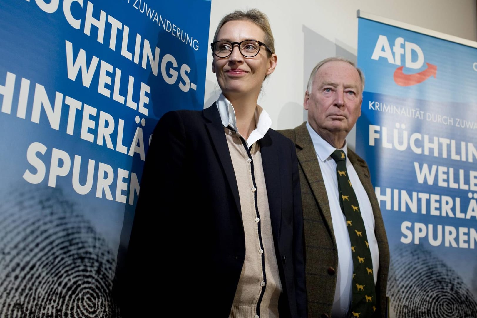 AfD-Spitzen Weidel und Gauland mit Parteipropaganda: "Überraschend ist, wie konsequent das geschieht". (Symbolfoto)