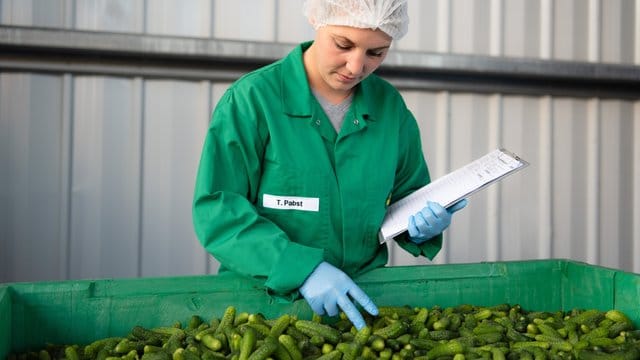 So kommt die Gewürzgurke ins Glas: Die angehende Fachkraft für Lebensmitteltechnik Tina Pabst arbeitet bei ihrem Ausbildungsbetrieb Kühne an der Abfüllmaschine.