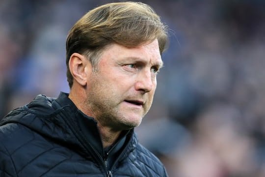 Trainer Ralph Hasenhüttl kann sich laut eigener Aussage derzeit keine Rückkehr in die Bundesliga vorstellen.