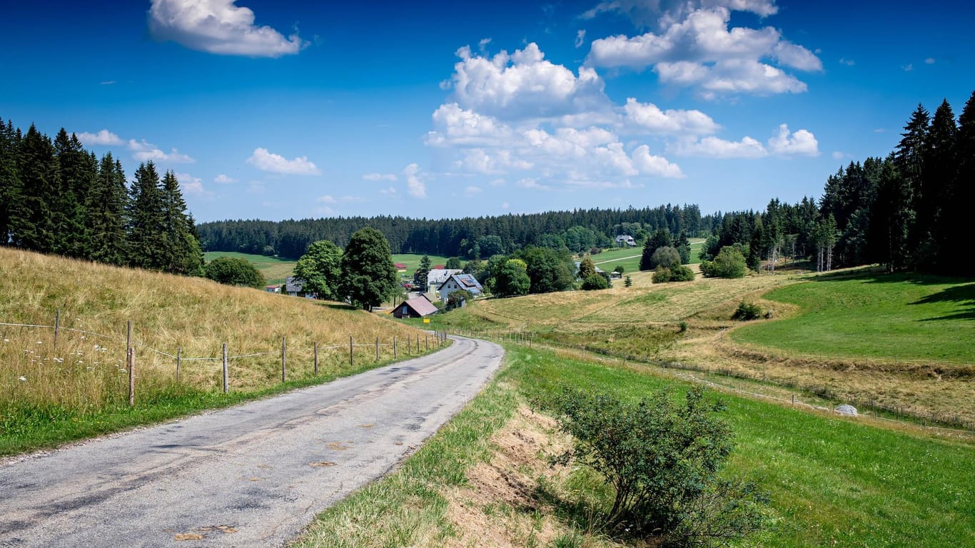 Der Schwarzwald: Für Wanderer ist er ein beliebtes Ausflugsziel.