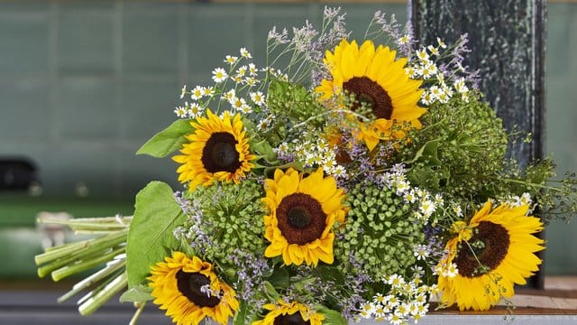 Sonnenblumen machen sich im Strauß gut zusammen mit zarten Kamillenblüten und Wiesensträuchern.