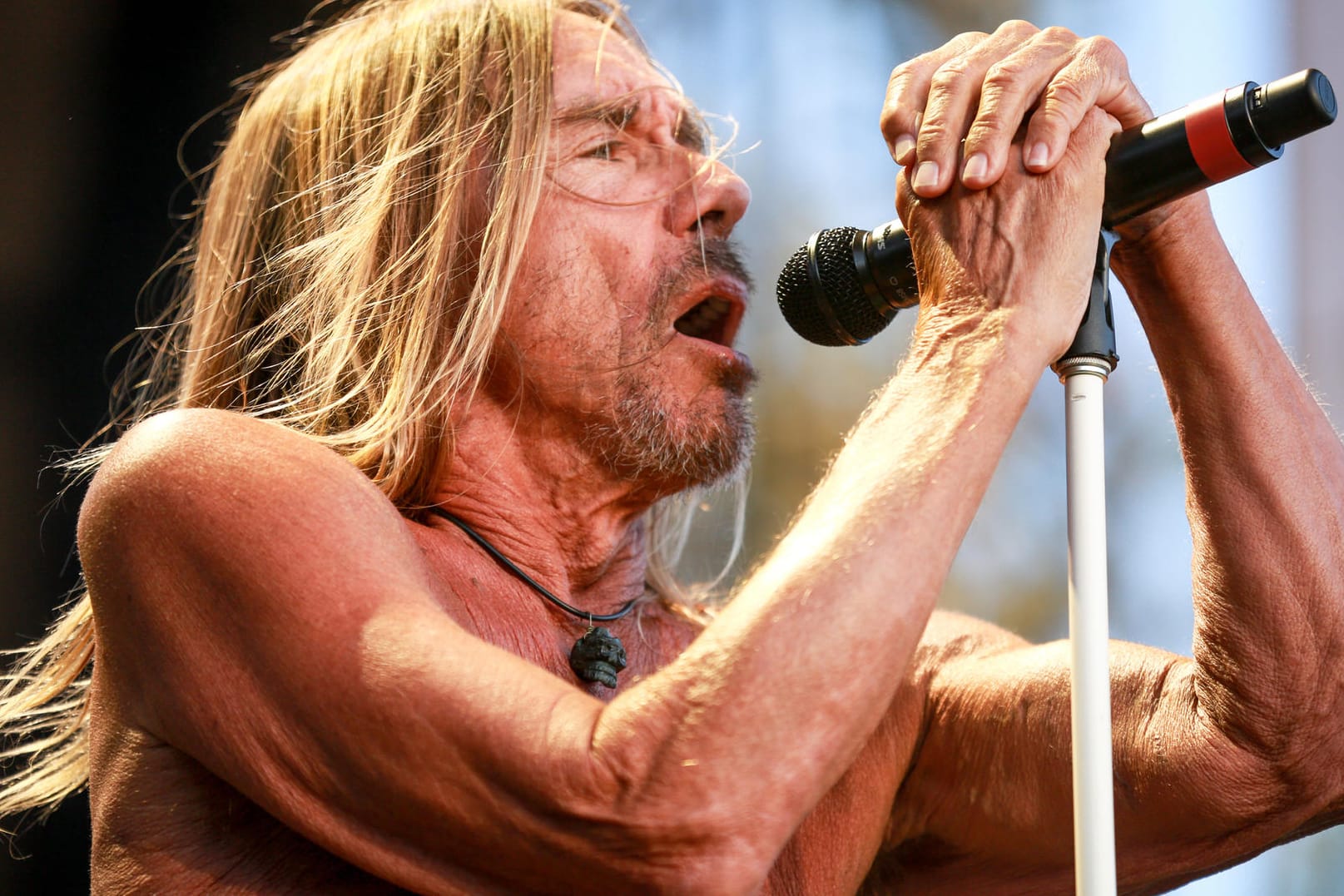 Iggy Pop: Der Musiker trinkt gern Kaffee – und Wein.