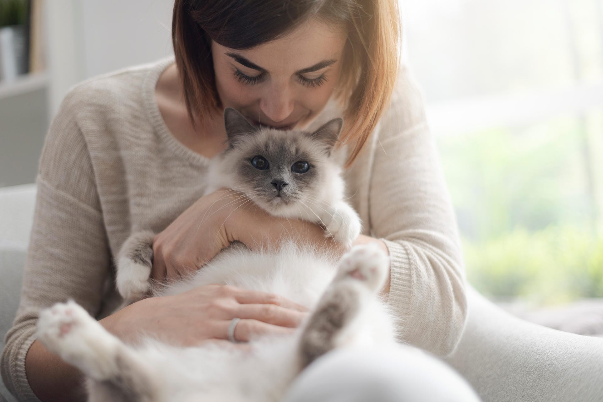 Frau mit Katze: Die Katze braucht das Streicheln nicht. Es ist der Mensch, der dem Kraulen schwer widerstehen kann. Das hat einen bestimmten Grund.