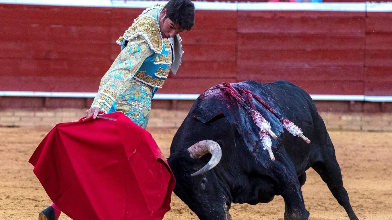Stierkampf in Andalusien: Der Stierkampf hat in Spanien eine lange Tradition.