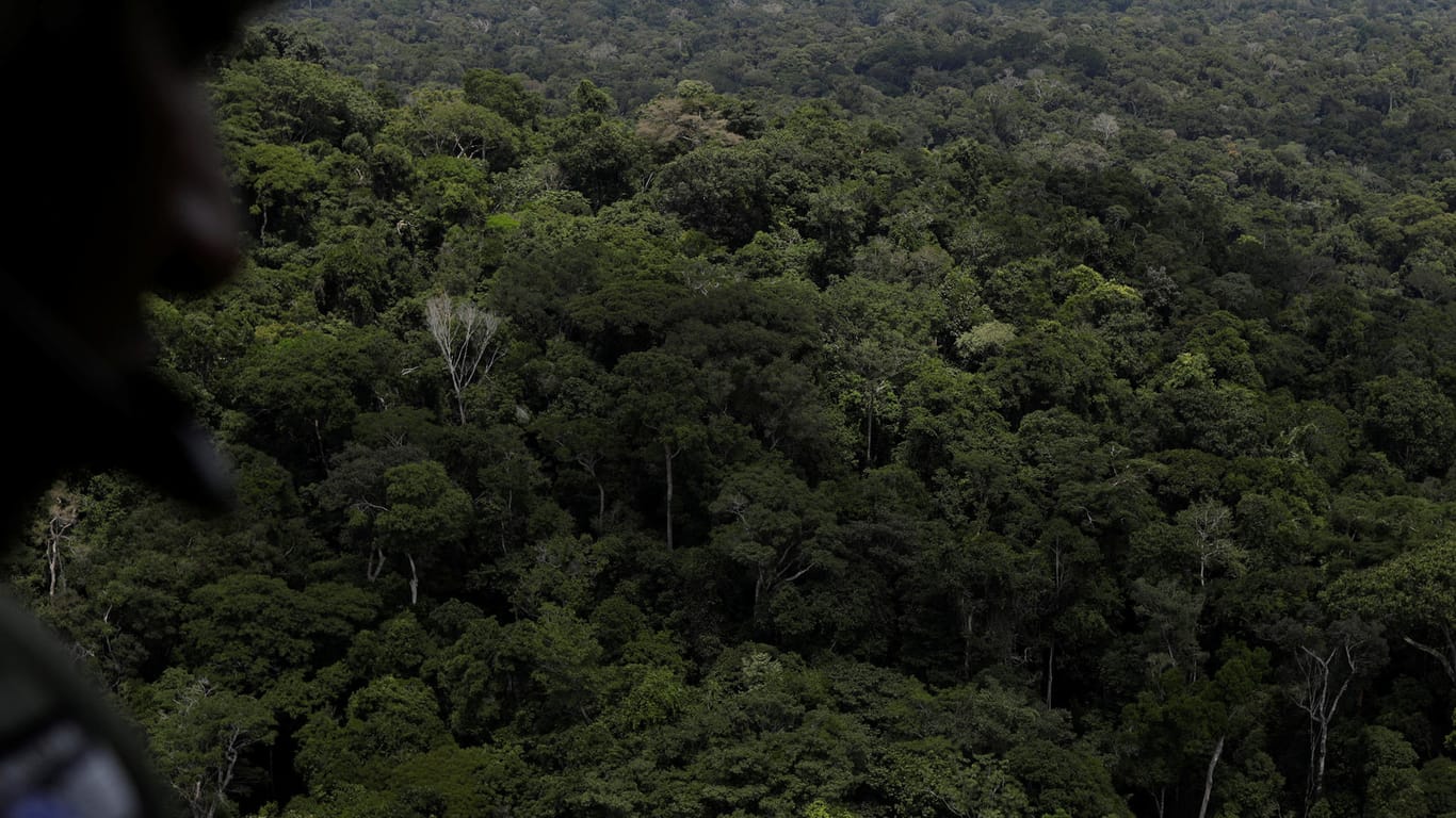 Ein Polizist blickt über den Regenwald: Brasiliens Präsident Bolsonara fördert Monokolturen wie Soja oder Rinderzucht – auf Kosten umweltfreundlicher Betriebe. (Archivbild)