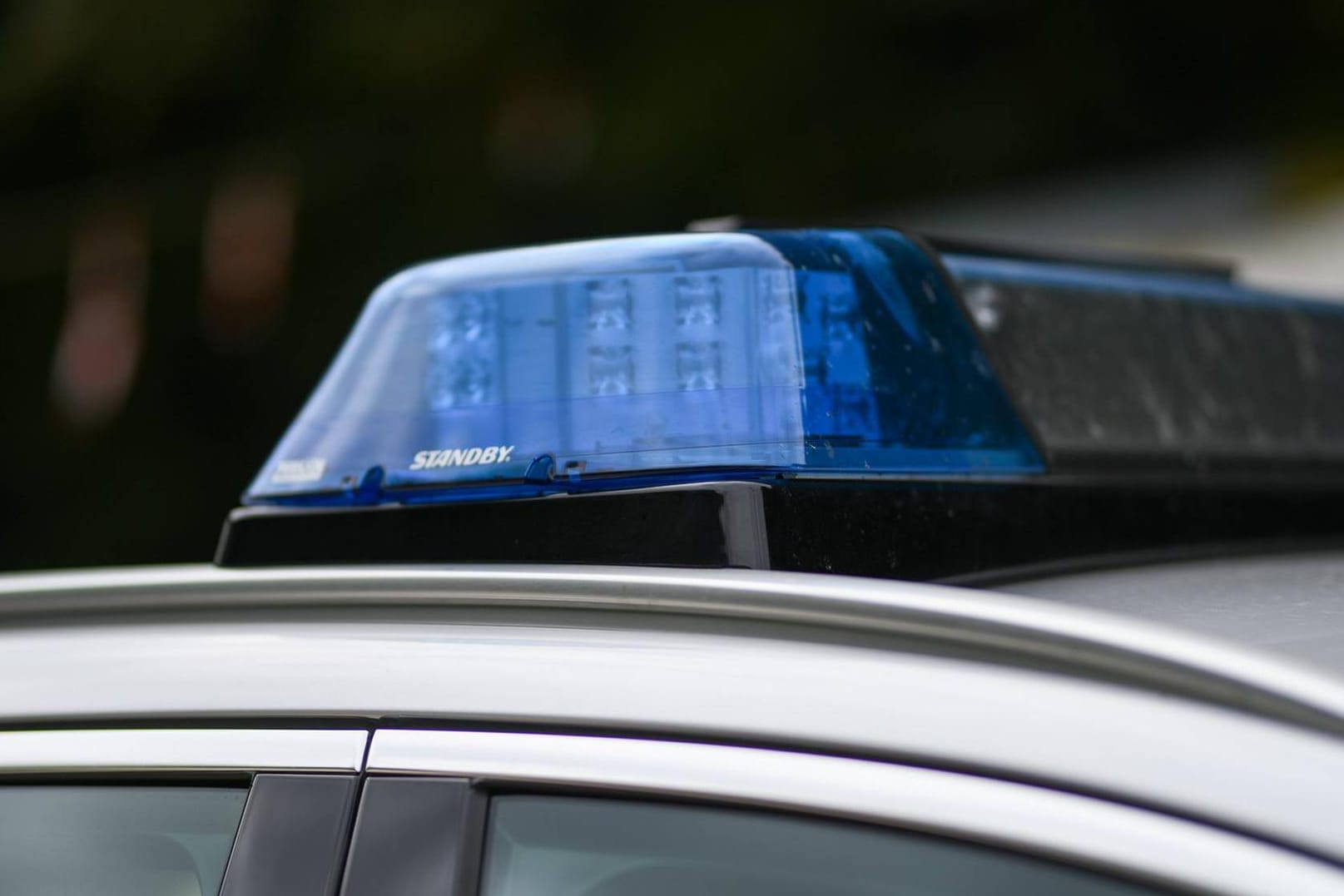 Blaulicht der Polizei: Die Mutter kam nach dem Vorfall in eine Fachklinik, das Kind brachten die Beamten in ein Krankenhaus. (Symbolbild)