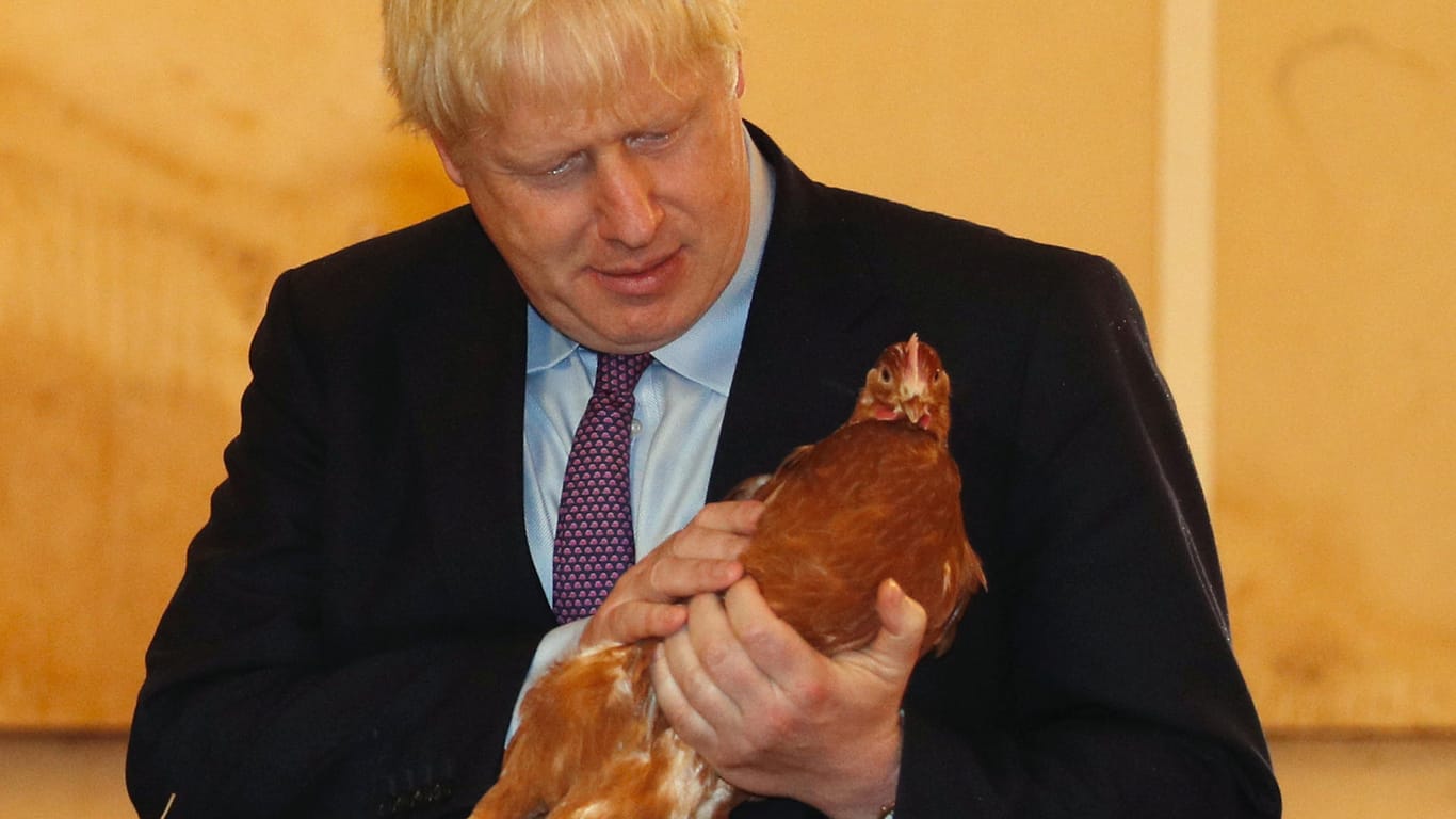 Boris Johnson bei seinem Antrittsbesuch in Wales: Auch die Visite auf einer Hühnerfarm brachte ihm keine Pluspunkte.