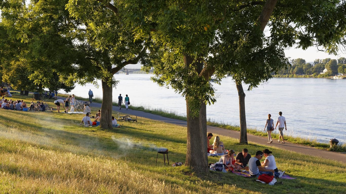 Leute beim Grillen an einem Sommerabend am Rheinufer in Mainz: Zeit, die letzten Sonnenstrahlen zu genießen.