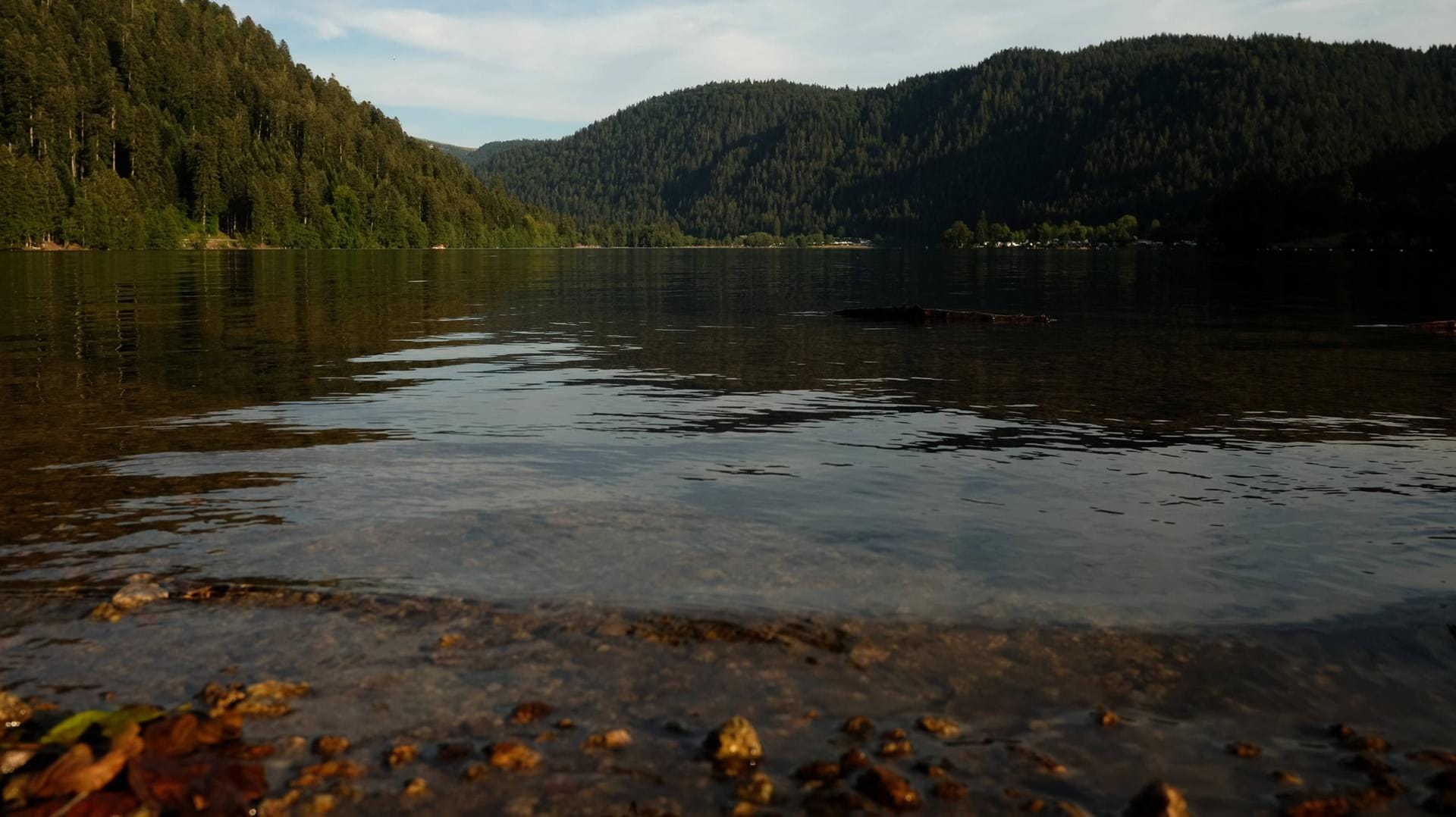 Badesee: In Frensdorf musste zum wiederholten Mal ein See gesperrt werden – es gab zahlreiche Krankheitsfälle. (Symbolbild)