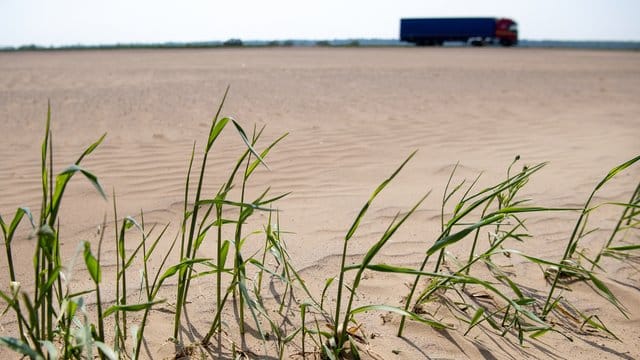 Dürren, Hitzewellen, Überschwemmungen und die Versalzung von Böden infolge des Klimawandels sind für die Ernährung der Weltbevölkerung eine erhebliche Bedrohung. Dürren, Hitzewellen, Überschwemmungen und die Versalzung von Böden infolge des Klimawandels sind für die Ernährung der Weltbevölkerung eine erhebliche Bedrohung.