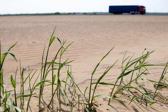 Dürren, Hitzewellen, Überschwemmungen und die Versalzung von Böden infolge des Klimawandels sind für die Ernährung der Weltbevölkerung eine erhebliche Bedrohung.