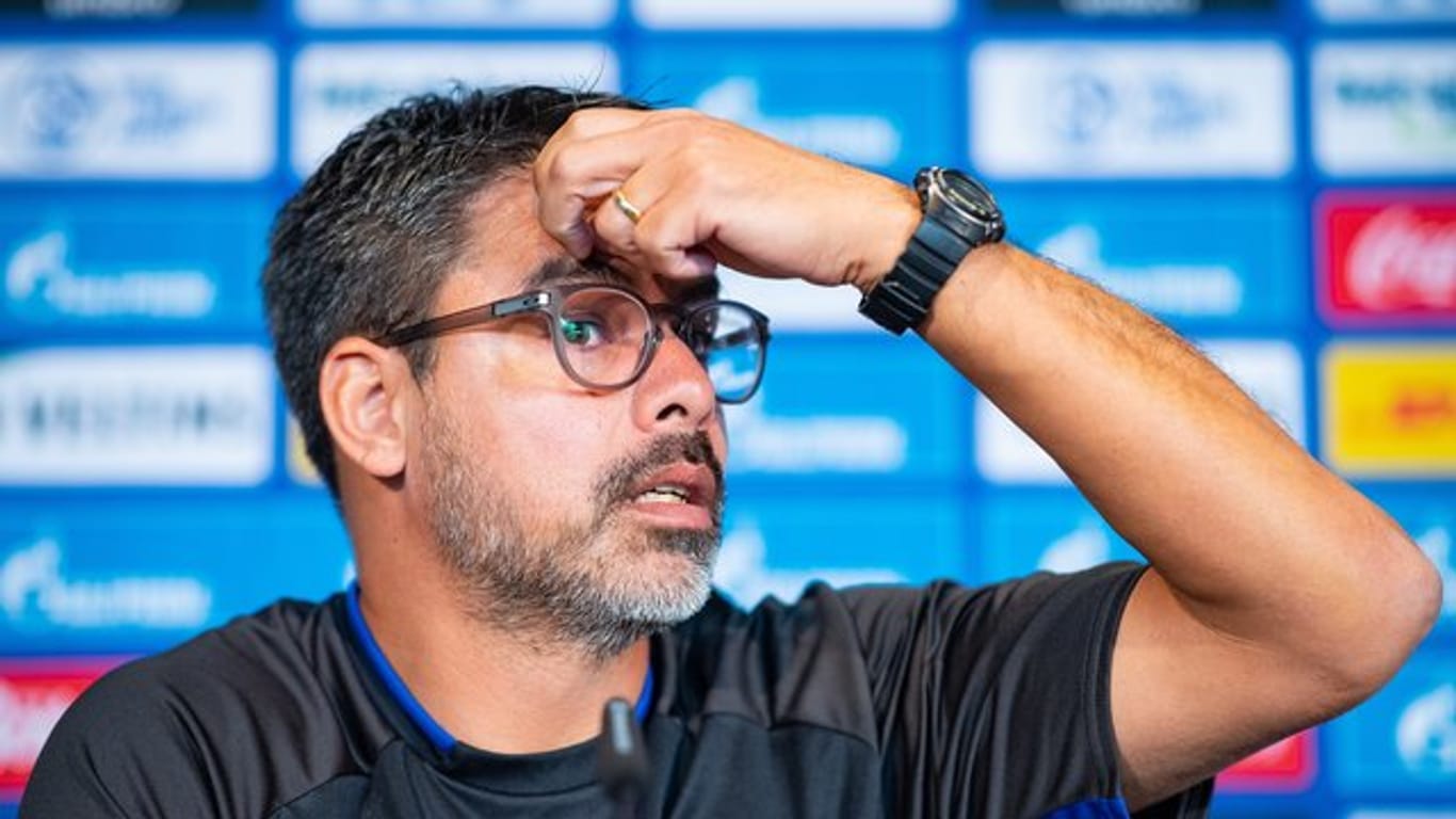 Schalke-Trainer David Wagner auf der Pressekonferenz in Gelsenkirchen.