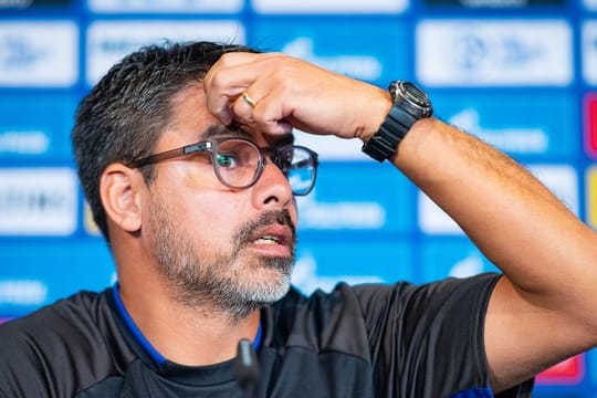 Schalke-Trainer David Wagner auf der Pressekonferenz in Gelsenkirchen.