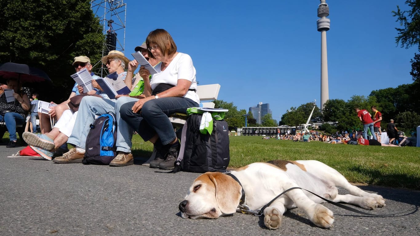 Ein Hund liegt in der Sonne: Ein Spaziergang durch den Westfalenpark macht hundemüde.