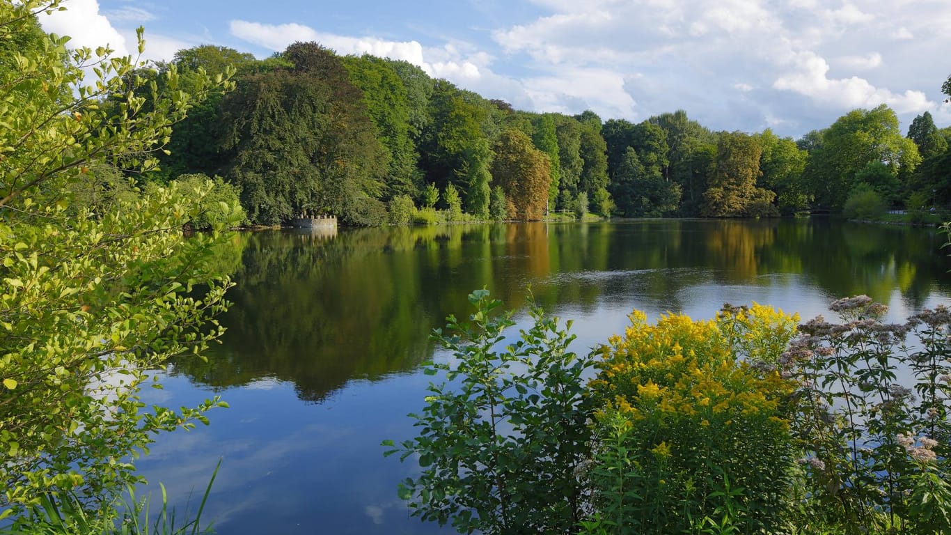 Schlossteich im Landschaftspark Botanischer Garten Rombergpark: ein beliebtes Ziel von Dortmundern.