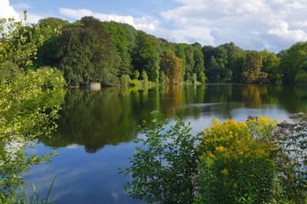 Schlossteich im Landschaftspark Botanischer Garten Rombergpark: ein beliebtes Ziel von Dortmundern.