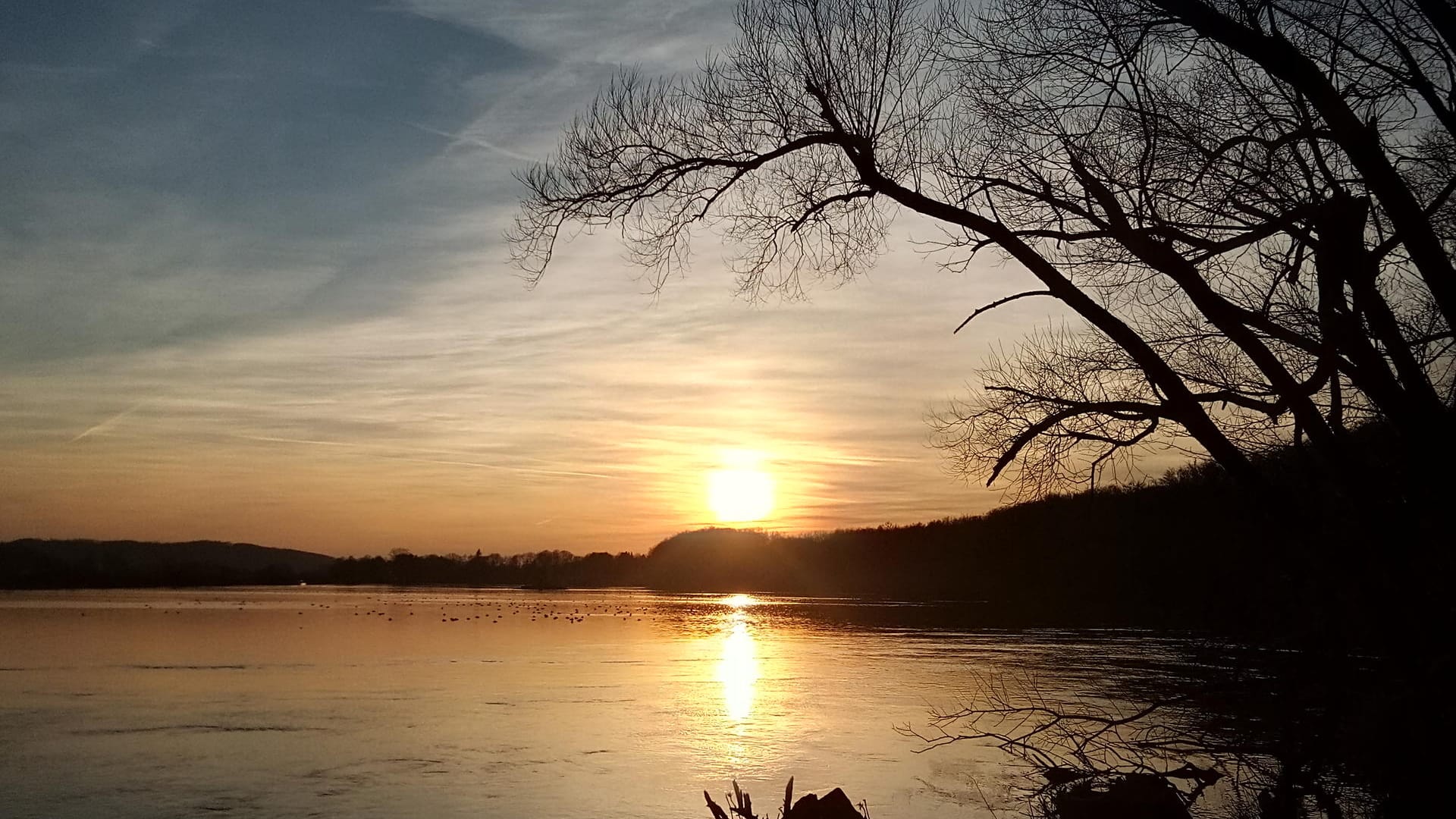 Hengser Stausee im Süden von Holzwickede: Er liegt inmitten des Naturschutzgebiet Bahnwald.