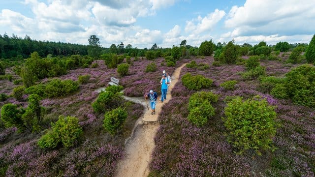 Eine Familie geht durch die Ellerndorfer Heide