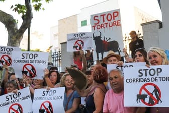 In Palma protestieren Demonstranten gegen die Wiederaufnahme von Stierkämpfen auf Mallorca.