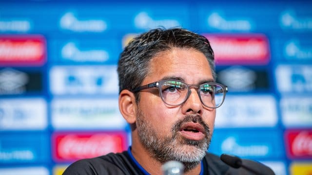 Schalkes Trainer Wagner spricht auf der Pressekonferenz vor dem DFB Pokal Spiel bei Drochtersen/Assel. Schalkes Trainer Wagner spricht auf der Pressekonferenz vor dem DFB Pokal Spiel bei Drochtersen/Assel.