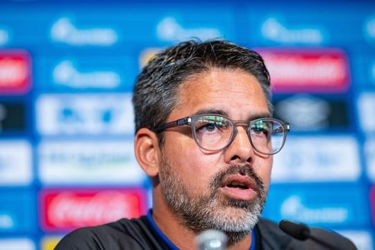 Schalkes Trainer Wagner spricht auf der Pressekonferenz vor dem DFB Pokal Spiel bei Drochtersen/Assel.