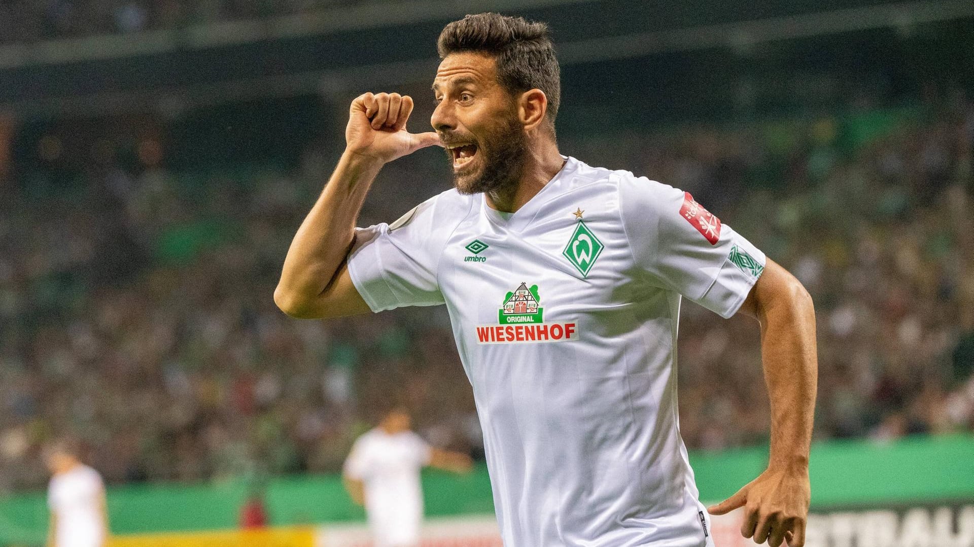 Claudio Pizarro: Die Sturm-Ikone war auch gegen Delmenhorst mit vollem Einsatz dabei.