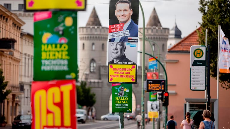 Wahlplakate zur Landtagswahl in Potsdam: Am 1. September wird in Brandenburg und Sachsen gewählt.