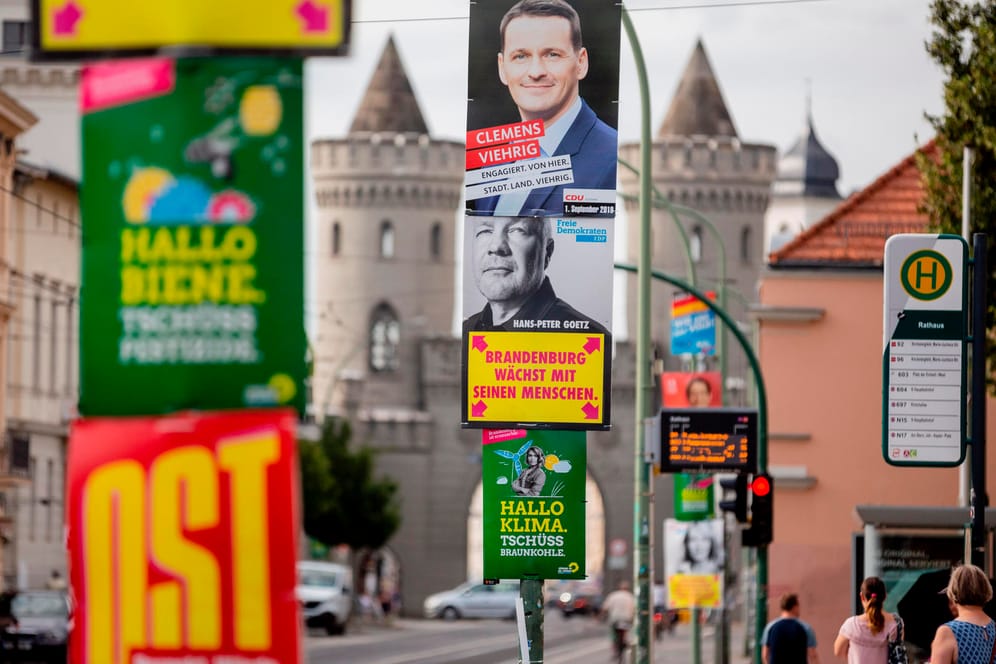 Wahlplakate zur Landtagswahl in Potsdam: Am 1. September wird in Brandenburg und Sachsen gewählt.