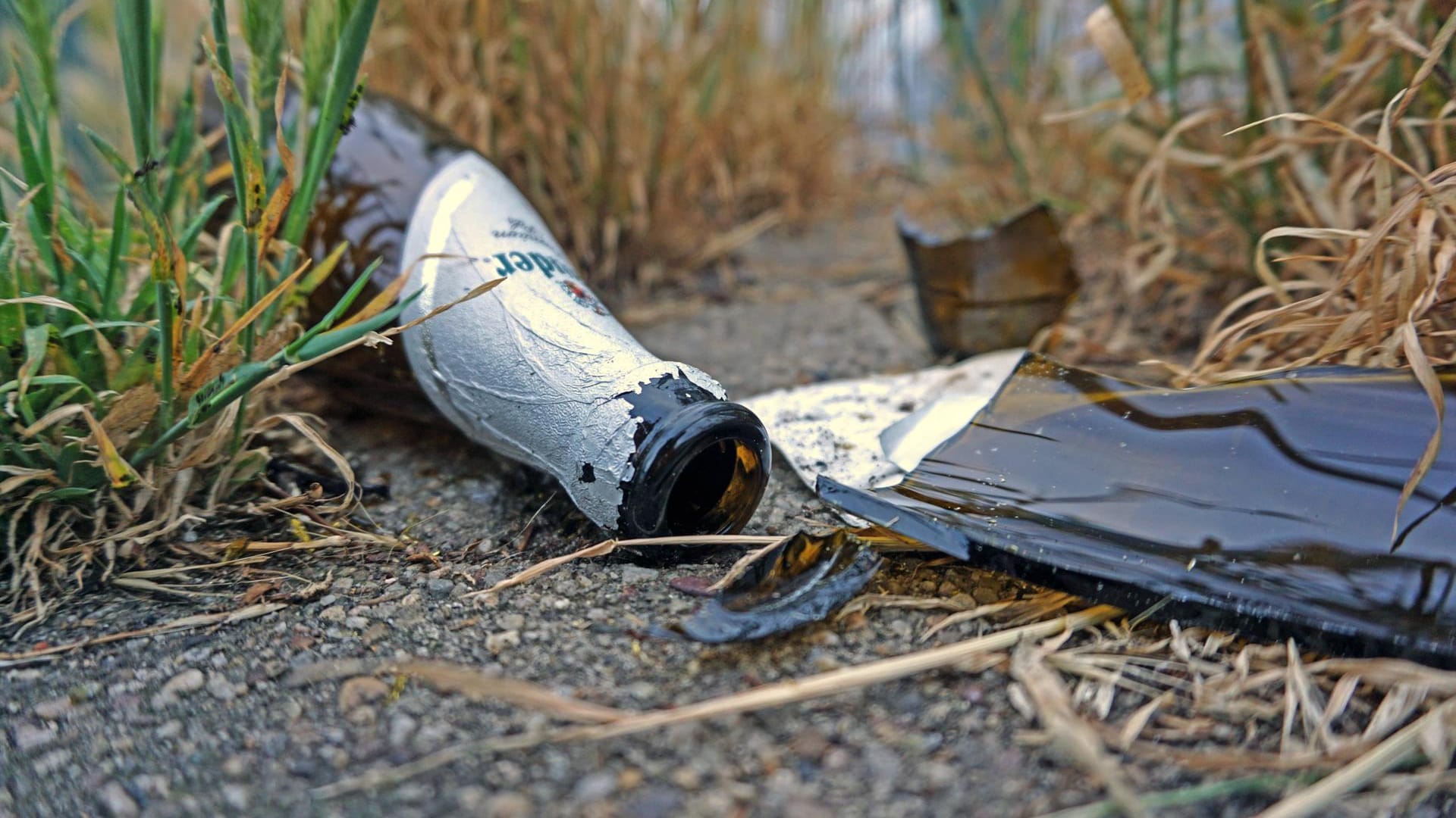 Scherben einer Glasflasche: In Erfurt musste ein Teenager die Polizei rufen, weil seine eigene Party eskalierte. (Symbolbild)