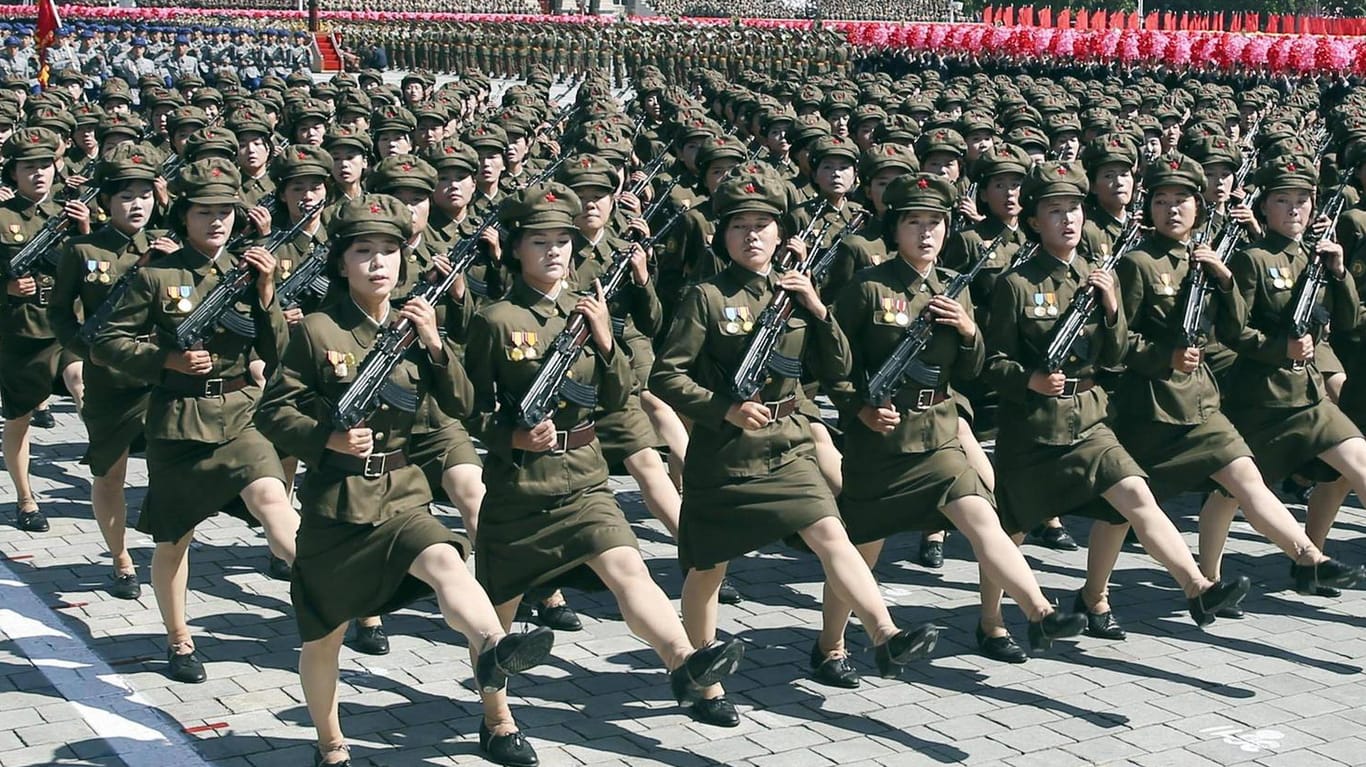 Parade in Nordkorea: Wenig ist über das Leben in der Diktatur bekannt. Eine Frau konnte mit ihrem Sohn fliehen – und verhungerte in Südkorea.