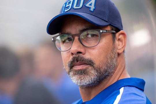 Schalkes neuer Trainer David Wagner kann sich auch Investoren in der Bundesliga vorstellen.