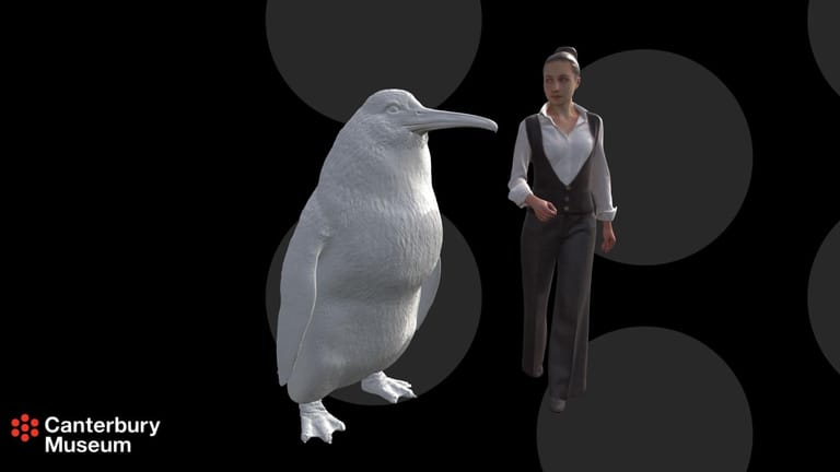 3D-Modell des Riesenpinguins: Die in Neuseeland gefundenen Knochen gehören zu einer bisher unbekannten Art.