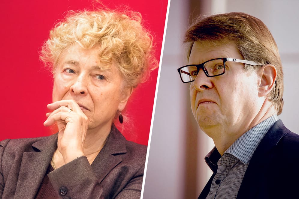 Gesine Schwan und Ralf Stegner: Sie gehen als Duo ins Rennen um den SPD-Vorsitz.