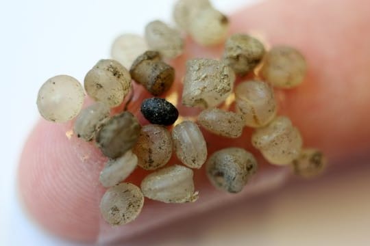 Forscher haben selbst in der Arktis Mikroplastik nachgewiesen.