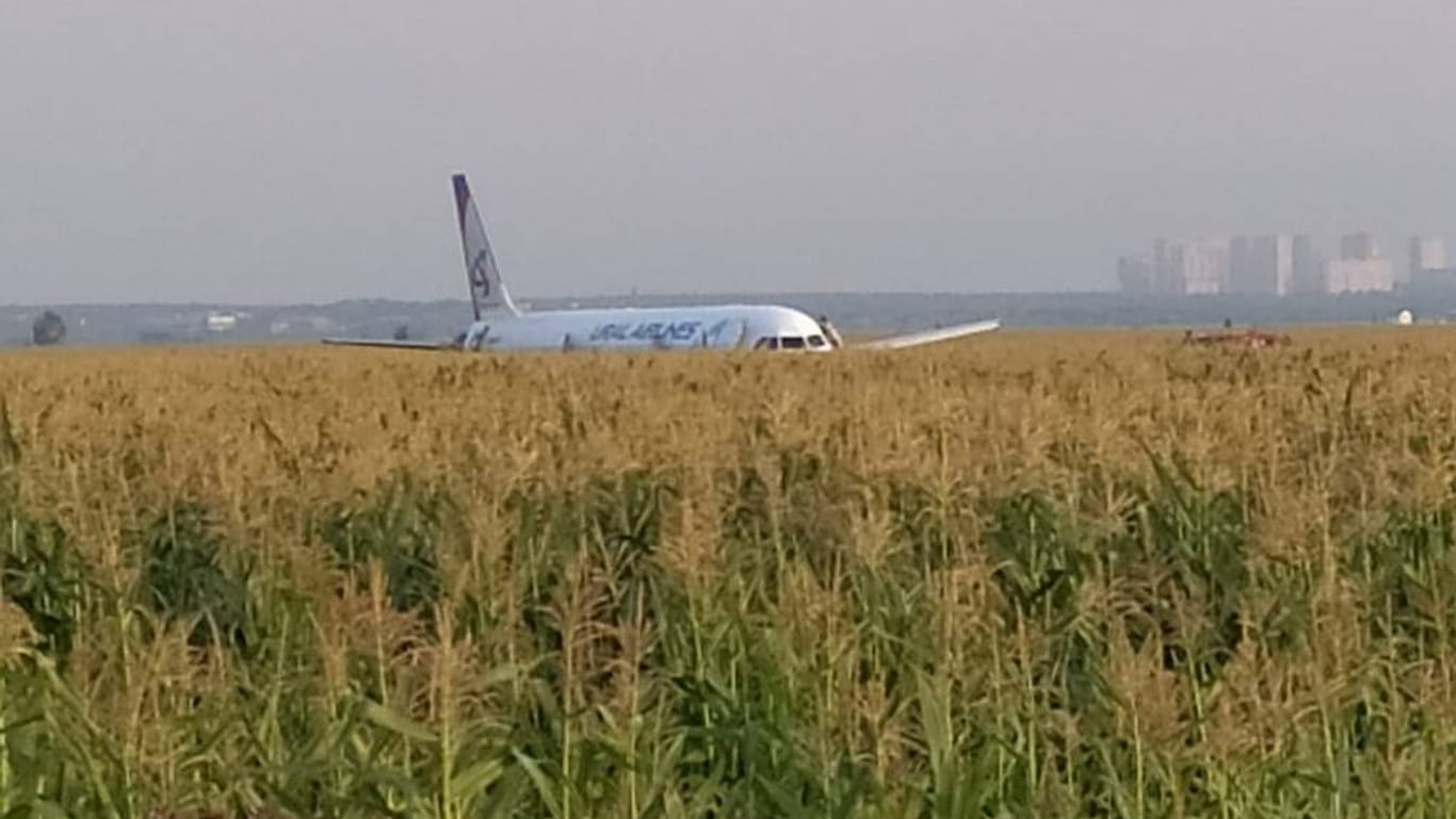 Eine Kollision mit Vögeln zwang einen Airbus 321 zur Notlandung in einem Maisfeld vor Moskau.