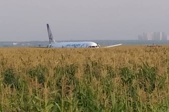 Eine Kollision mit Vögeln zwang einen Airbus 321 zur Notlandung in einem Maisfeld vor Moskau.