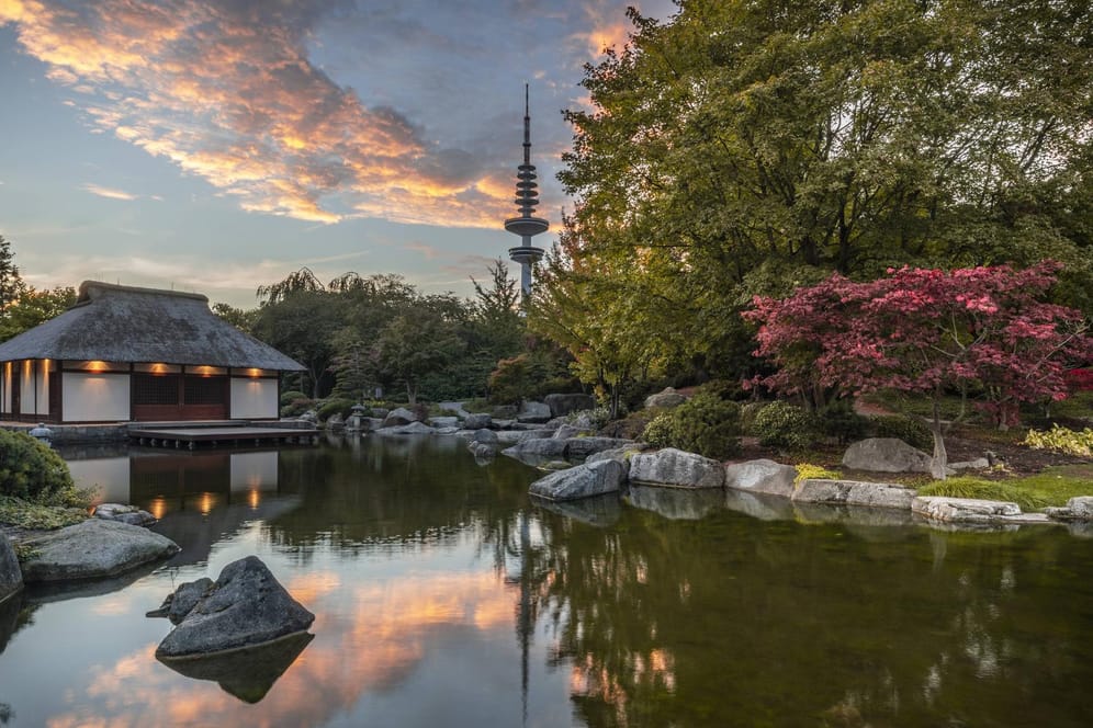 Der Japanische Garten bei Planten un Blomen: Der Park ist sehr beliebt bei Hamburgern und Touristen.