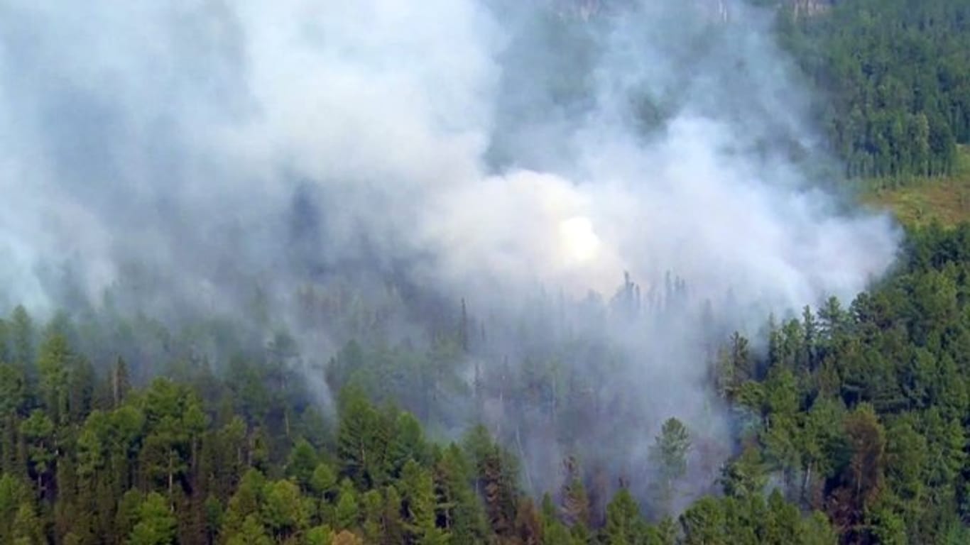 Rauch über den Baumwipfeln: Luftaufnahme eines Waldbrands in Russland.