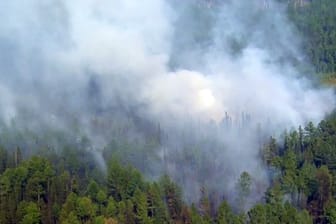 Rauch über den Baumwipfeln: Luftaufnahme eines Waldbrands in Russland.