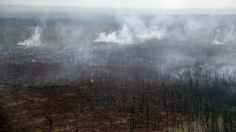 Waldbrände in der Taiga: Riesige Flächen sind bereits verbrannt – der CO2-Ausstoß ist gravierend.