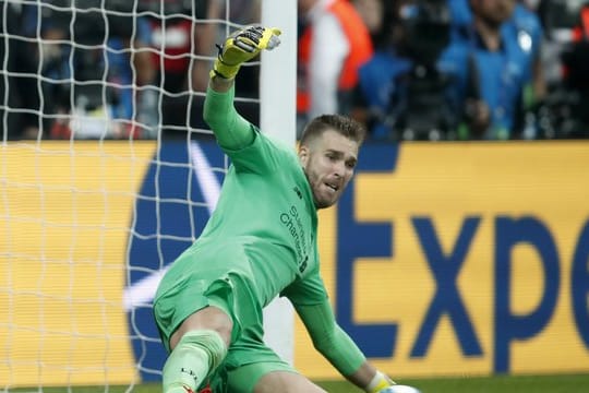 Liverpools Torhüter Adrian könnte im nächsten Saisonspiel verletzungsbedingt fehlen.
