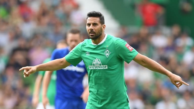 Claudio Pizarro startet mit Werder gegen Fortuna Düsseldorf.