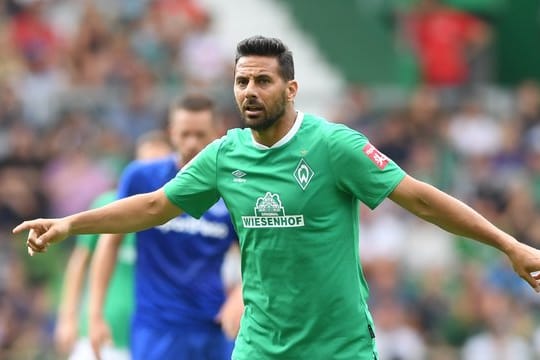 Claudio Pizarro startet mit Werder gegen Fortuna Düsseldorf.